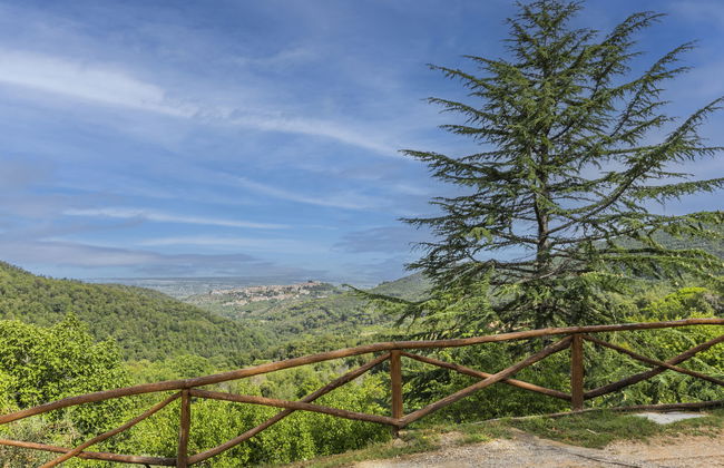 Apartamento de 2 quartos em Castagneto Carducci com piscina e jardim - Foto 60