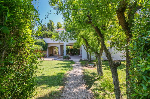 Foto 76 - Casa con 4 camere da letto a Montalto di Castro con piscina privata e giardino