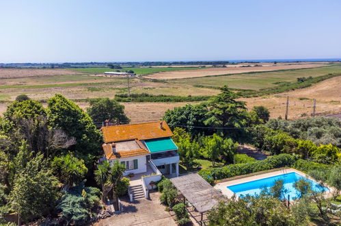 Foto 73 - Casa con 4 camere da letto a Montalto di Castro con piscina privata e giardino