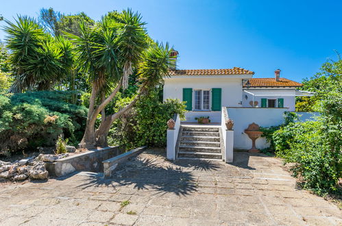 Foto 3 - Casa con 4 camere da letto a Montalto di Castro con piscina privata e giardino