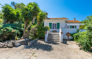 Foto 3 - Casa de 4 habitaciones en Montalto di Castro con piscina privada y jardín