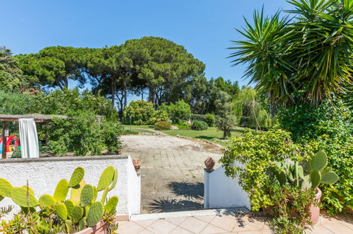 Foto 62 - Casa de 4 habitaciones en Montalto di Castro con piscina privada y jardín