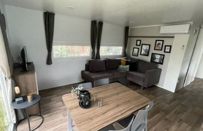 Casa con 3 camere da letto a Biddinghuizen con piscina e terrazza - Foto 19