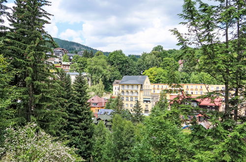 Foto 42 - Appartamento con 1 camera da letto a Janské Lázně con vista sulle montagne