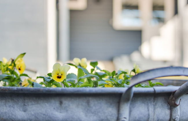 "Shaya" - 500m from the sea - Foto 3