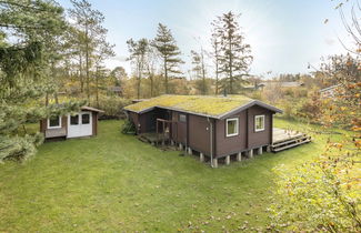 Photo 3 - 3 bedroom House in Fjerritslev with terrace