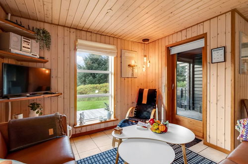 Foto 30 - Casa con 2 camere da letto a Vemb con terrazza