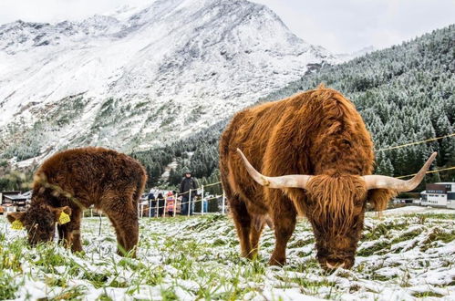 Foto 44 - Appartamento con 2 camere da letto a Saas-Fee con giardino e sauna