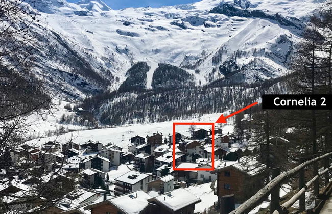 Apartamento de 2 quartos em Saas-Fee com jardim e sauna - Foto 53
