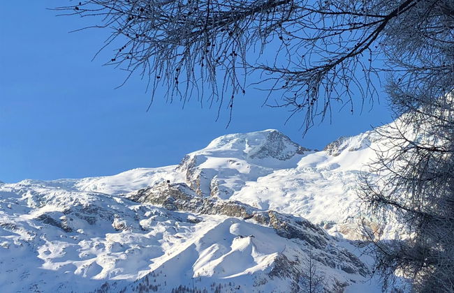 Apartamento de 2 quartos em Saas-Fee com jardim e sauna - Foto 35