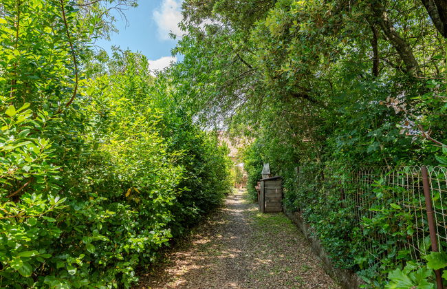 Casa de 3 quartos em Cinigiano com piscina e jardim - Foto 29