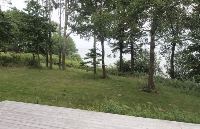 Casa de 1 quarto em Haderslev com terraço - Foto 13