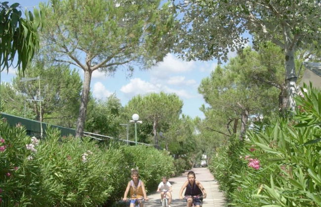 Maison de 4 chambres à Bibbona avec piscine et jardin - Photo 23