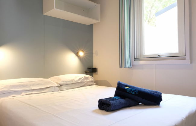 Maison de 4 chambres à Bibbona avec piscine et jardin - Photo 9