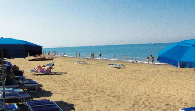 Maison de 4 chambres à Bibbona avec piscine et jardin - Photo 5