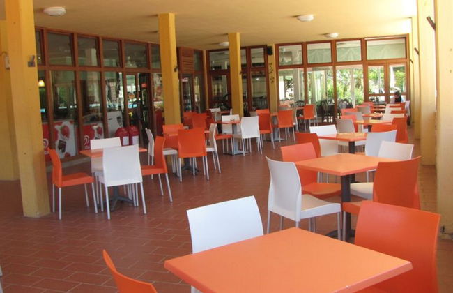 Maison de 4 chambres à Bibbona avec piscine et jardin - Photo 17