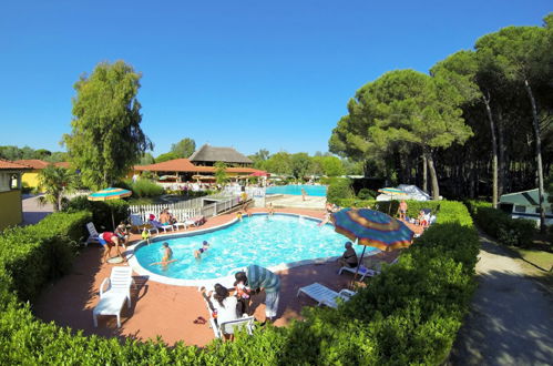 Photo 20 - Maison de 3 chambres à Bibbona avec piscine et jardin