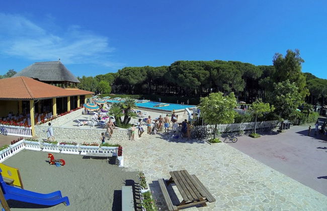 Maison de 4 chambres à Bibbona avec piscine et jardin - Photo 22