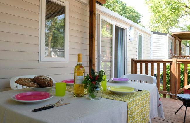 Maison de 4 chambres à Bibbona avec piscine et jardin - Photo 14