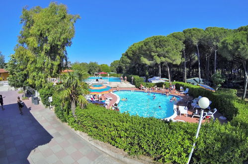 Photo 18 - Maison de 3 chambres à Bibbona avec piscine et jardin