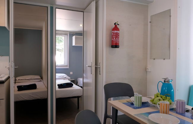 Maison de 4 chambres à Bibbona avec piscine et jardin - Photo 4