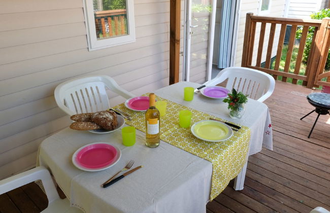 Maison de 4 chambres à Bibbona avec piscine et jardin - Photo 13