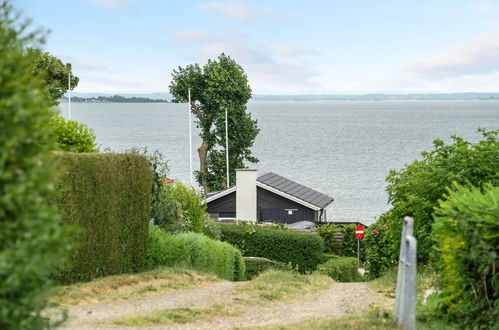 Photo 33 - Maison de 2 chambres à Hejls avec terrasse