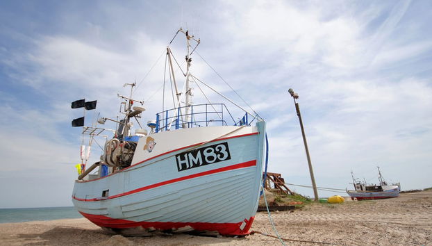 Haus mit 4 Schlafzimmern in Fjerritslev mit terrasse - Foto 2
