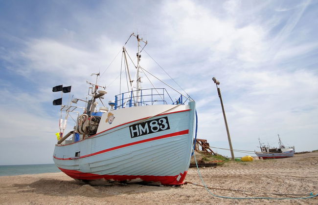Haus mit 4 Schlafzimmern in Fjerritslev mit terrasse - Foto 2