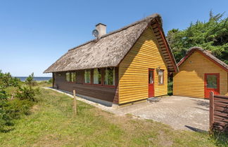 Photo 1 - Maison de 3 chambres à Hemmet avec terrasse