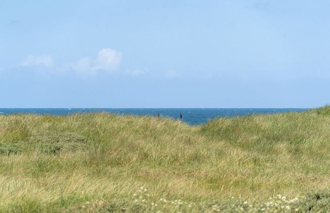 "Dila" - 150m from the sea - Foto 4