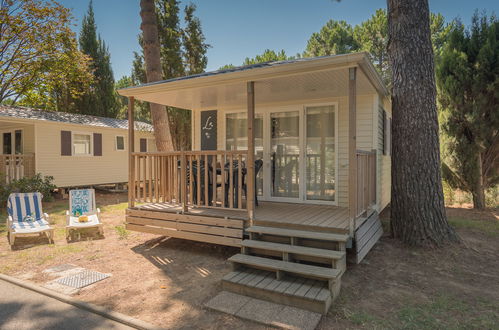 Foto 7 - Casa con 2 camere da letto a Argelès-sur-Mer con piscina e giardino