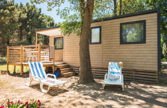 Photo 3 - Maison de 2 chambres à Argelès-sur-Mer avec piscine et jardin