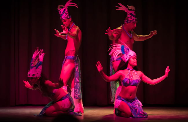 Haus mit 3 Schlafzimmern in Argelès-sur-Mer mit schwimmbad und garten - Foto 18