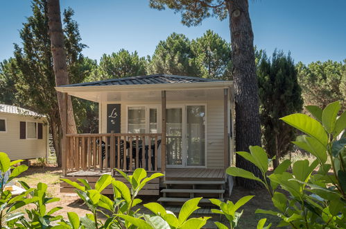 Foto 3 - Casa con 2 camere da letto a Argelès-sur-Mer con piscina e giardino