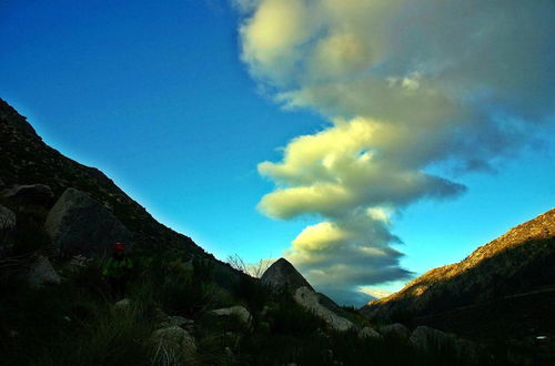 Foto 46 - Casa Lagar Da Alagoa