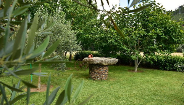Casa Lagar Da Alagoa - Foto 4