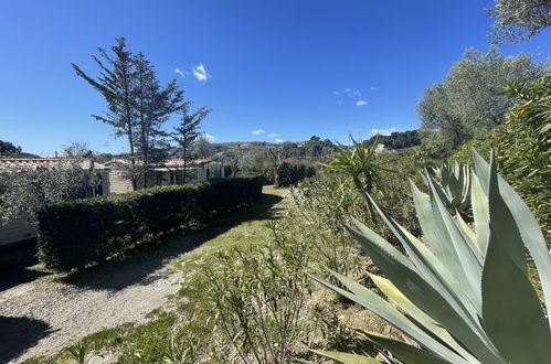 Photo 12 - Maison de 2 chambres à Santo Stefano al Mare avec piscine et jardin