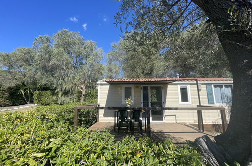 Foto 40 - Casa con 2 camere da letto a Santo Stefano al Mare con piscina e vista mare