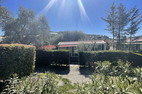 Photo 41 - Maison de 2 chambres à Santo Stefano al Mare avec piscine et jardin