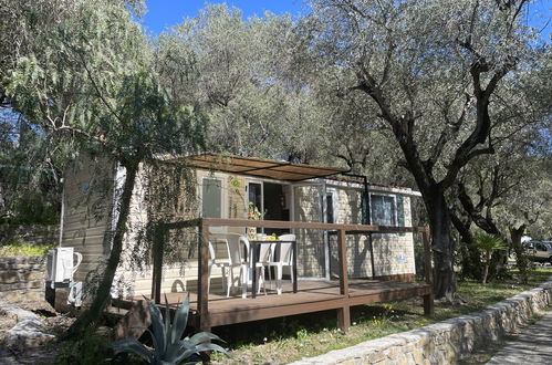 Photo 23 - Maison de 2 chambres à Santo Stefano al Mare avec piscine et jardin