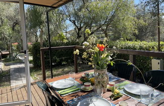 Foto 3 - Casa con 2 camere da letto a Santo Stefano al Mare con piscina e vista mare