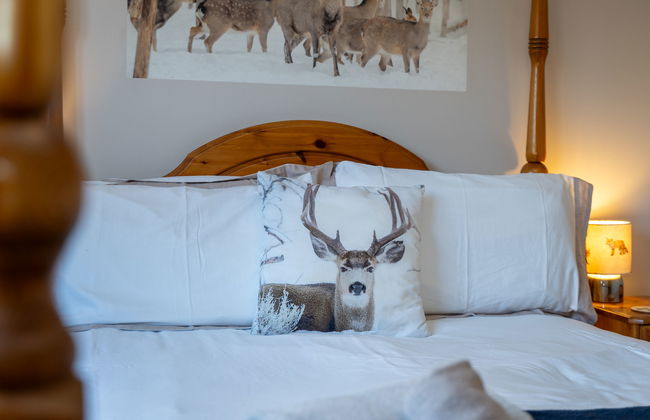 Casa de 4 quartos em Aviemore com jardim - Foto 18