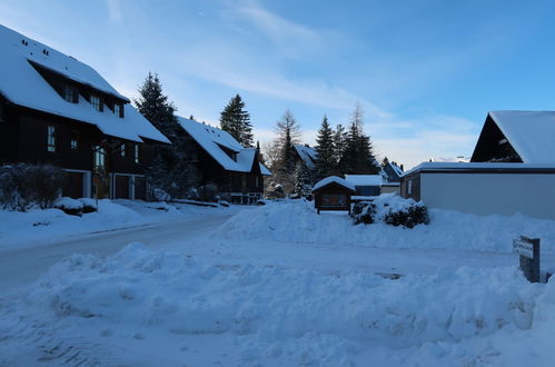 Foto 14 - Apartamento de 2 quartos em Hinterzarten com sauna e vista para a montanha