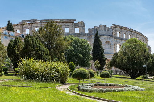 Foto 57 - Casa de 2 quartos em Marčana com piscina privada e jardim