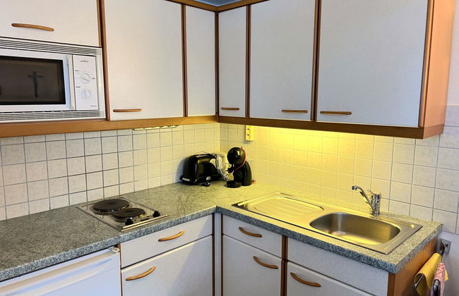 Casa de 5 quartos em Fusch an der Großglocknerstraße com jardim e sauna - Foto 16