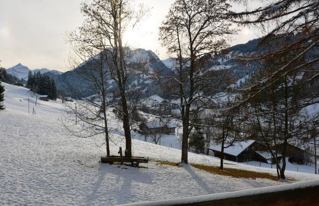Apartamento de 4 quartos em Saanen - Foto 7