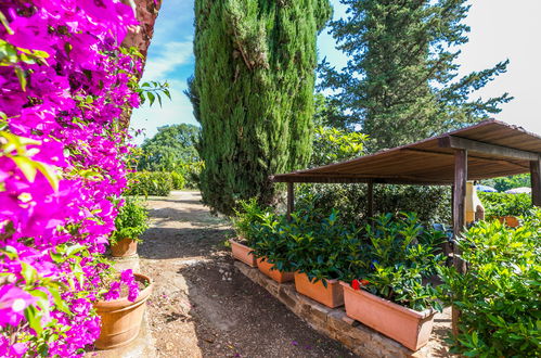 Foto 63 - Casa con 4 camere da letto a Follonica con piscina privata e giardino