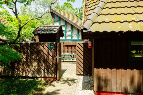 Foto 30 - Haus mit 1 Schlafzimmer in Tihany mit schwimmbad und blick auf die berge