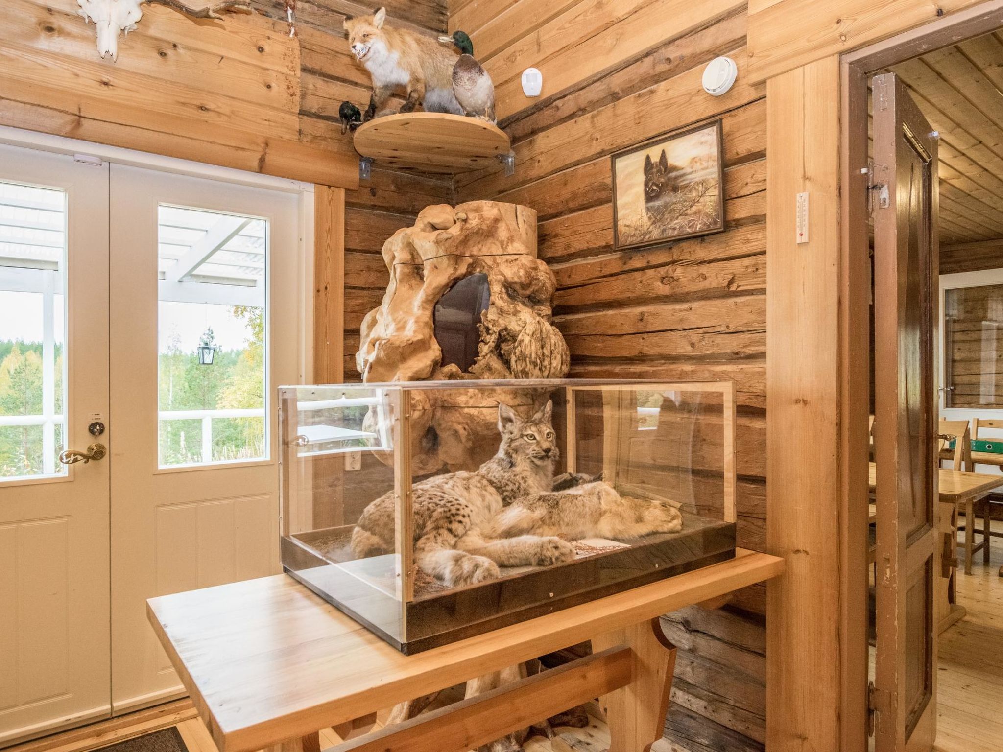 Photo 31 - 2 bedroom House in Mikkeli with sauna